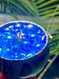 BORED SWAMP 3D CANDLE MYSTERY PACK 30% OFF